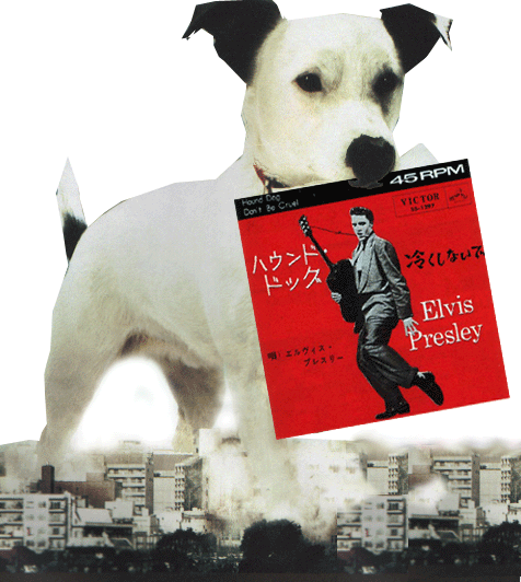 ハウンドドック / Hound Dog：1956 | エルヴィス・プレスリー コレクション