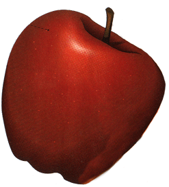 林檎、アップルティーならゲンキポリタン